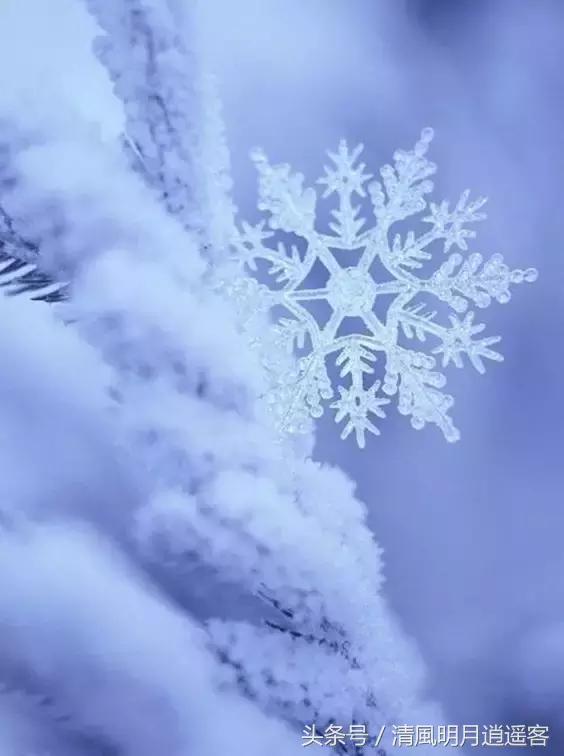 独钓寒江雪，风雪夜归人，200句经典冬天诗句