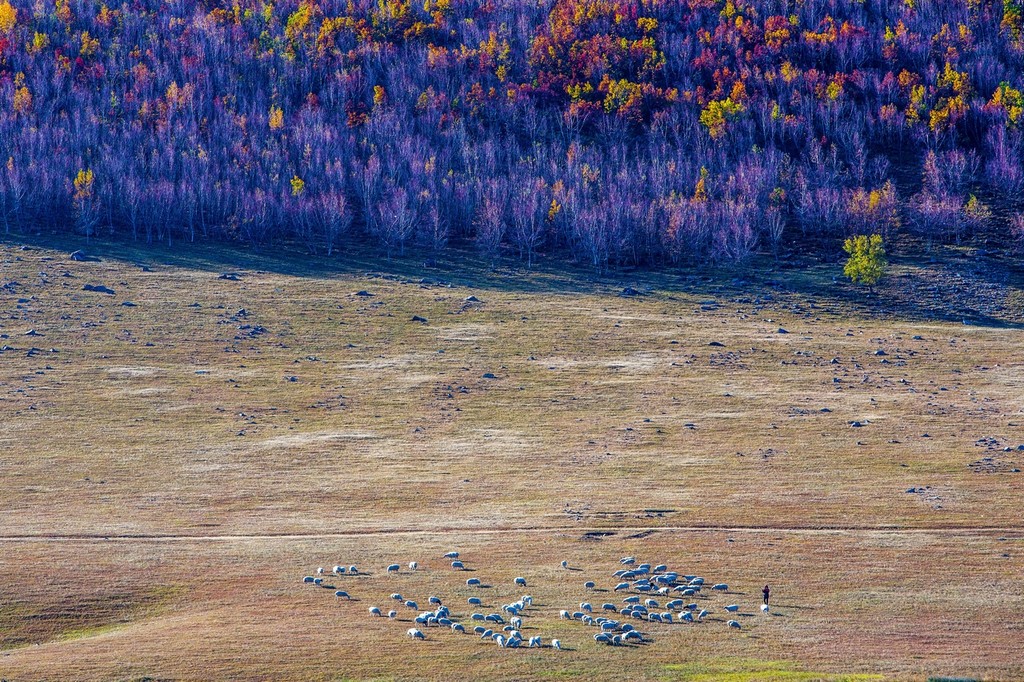 晚秋的草原美景,呼伦贝尔草原晚秋美景