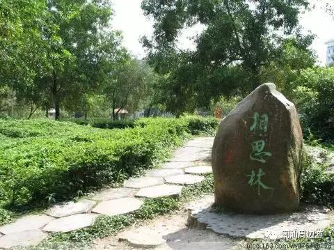 金砂公园有什么玩的,金砂公园