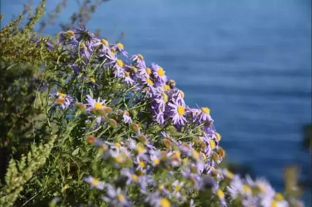 坐火车穿越俄罗斯西伯利亚,欧洲火车途经小镇