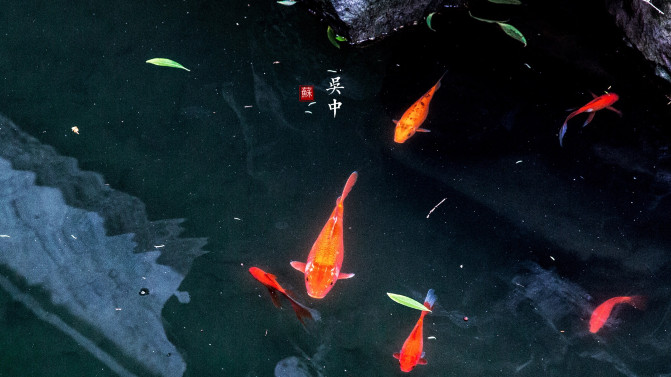 苏州旅游攻略两日游自由行,苏州旅游攻略2-3天自由行