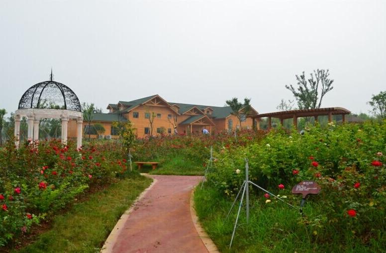 南京最有钱的十个镇,南京最富有的村