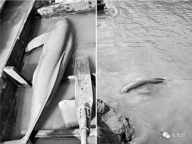 3分钟法治新闻全知道,三分钟法治新闻全知道下载