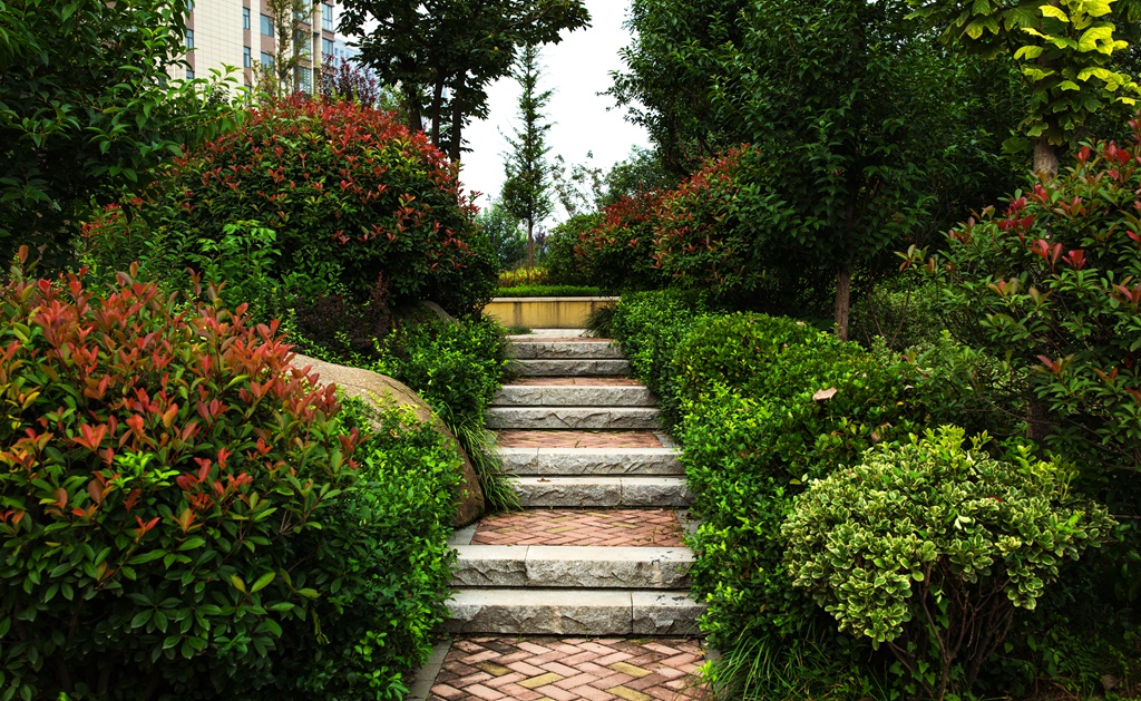 寮犺穬闈欑墿鎽勫奖,寮犺穬鐓х墖