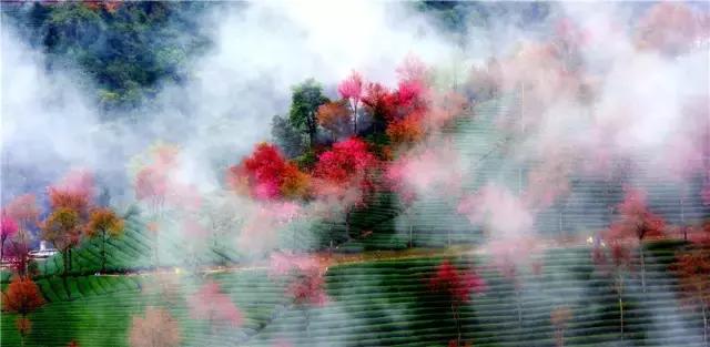 大理没有商业化的旅游景点,大理没被发现的景点