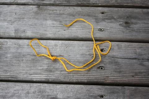 可乐瓶自制灌溉喷雾,可乐罐制作盆栽浇水器