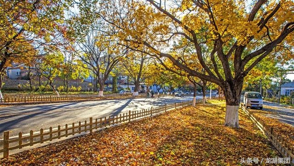 大连安静的风景区有哪些,大连治愈系胜地