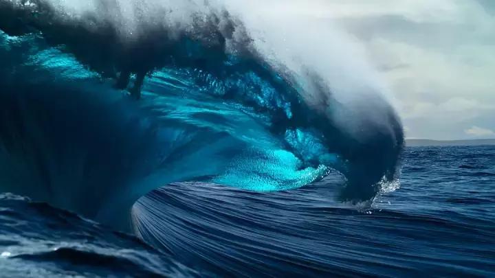 哈利波特又出新电影了吗 (哈利波特最近有没新电影)