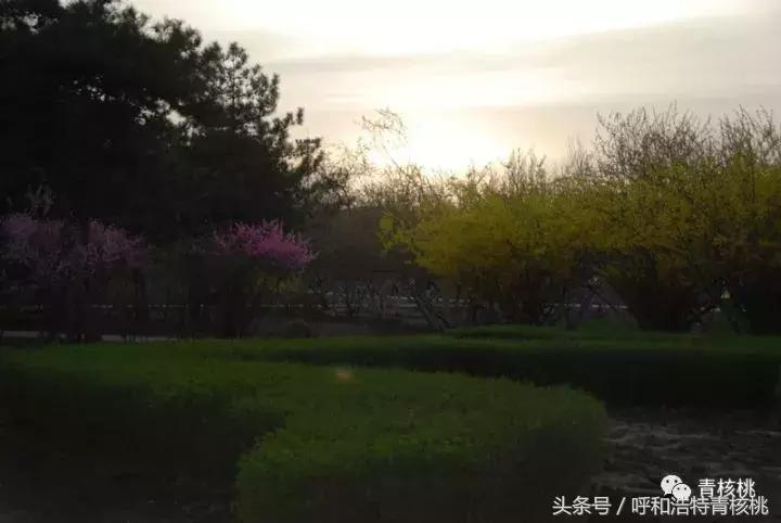 大家好这是我的家英文,大家好这是我的家图片卡通