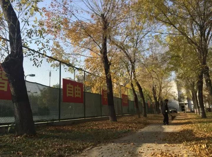 天津体育学院卫津南路51号,再见了天津视频