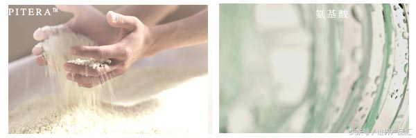 sk2神仙水真的那么神吗,sk2神仙水依赖性强