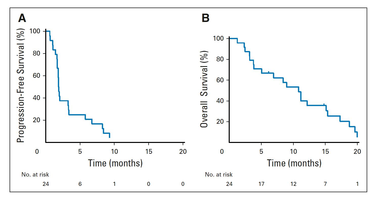宫颈癌pd-1疗法,pembrolizumab是什么药