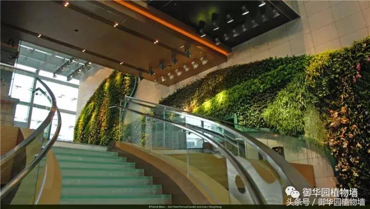 植物大战僵尸之父是中国人,植物墙创始人