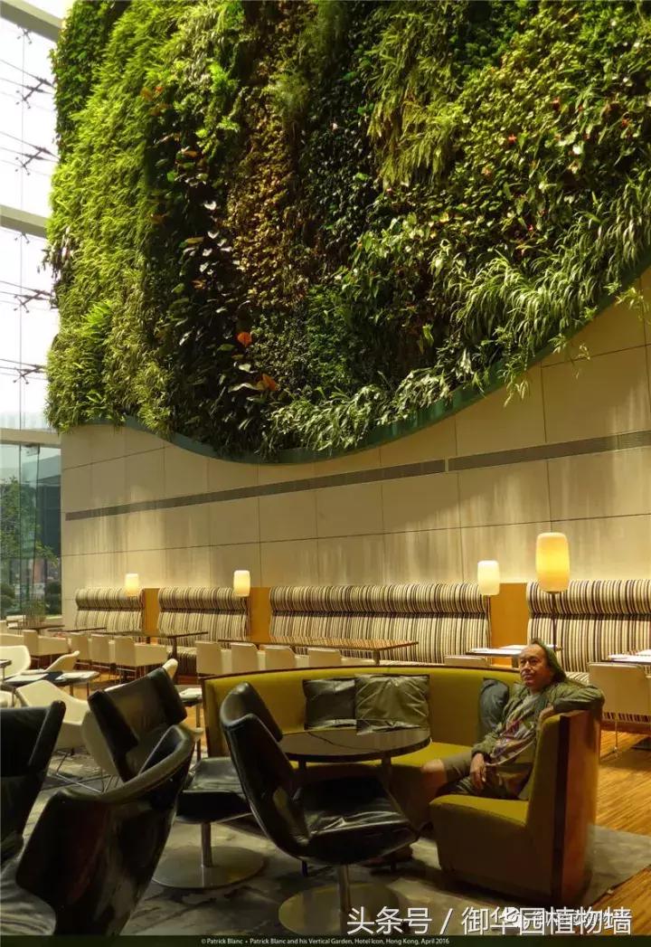 植物大战僵尸之父是中国人,植物墙创始人