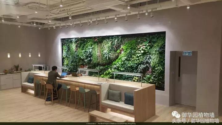 植物大战僵尸之父是中国人,植物墙创始人