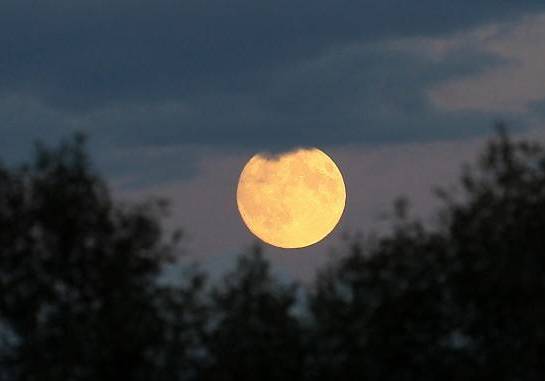 「词风雅韵」秦玉彦｜为君十赋鹧鸪天