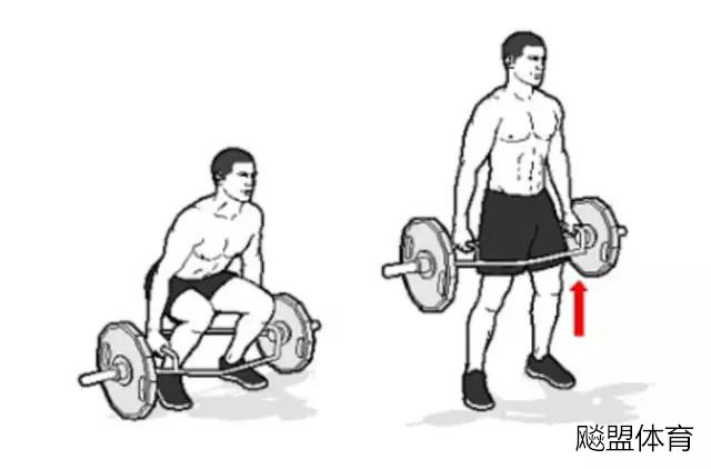 弹跳力提高训练方法,弹跳力最有效训练法视频