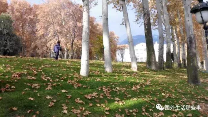 伊朗波斯文明有多强大,伊朗的文明历史