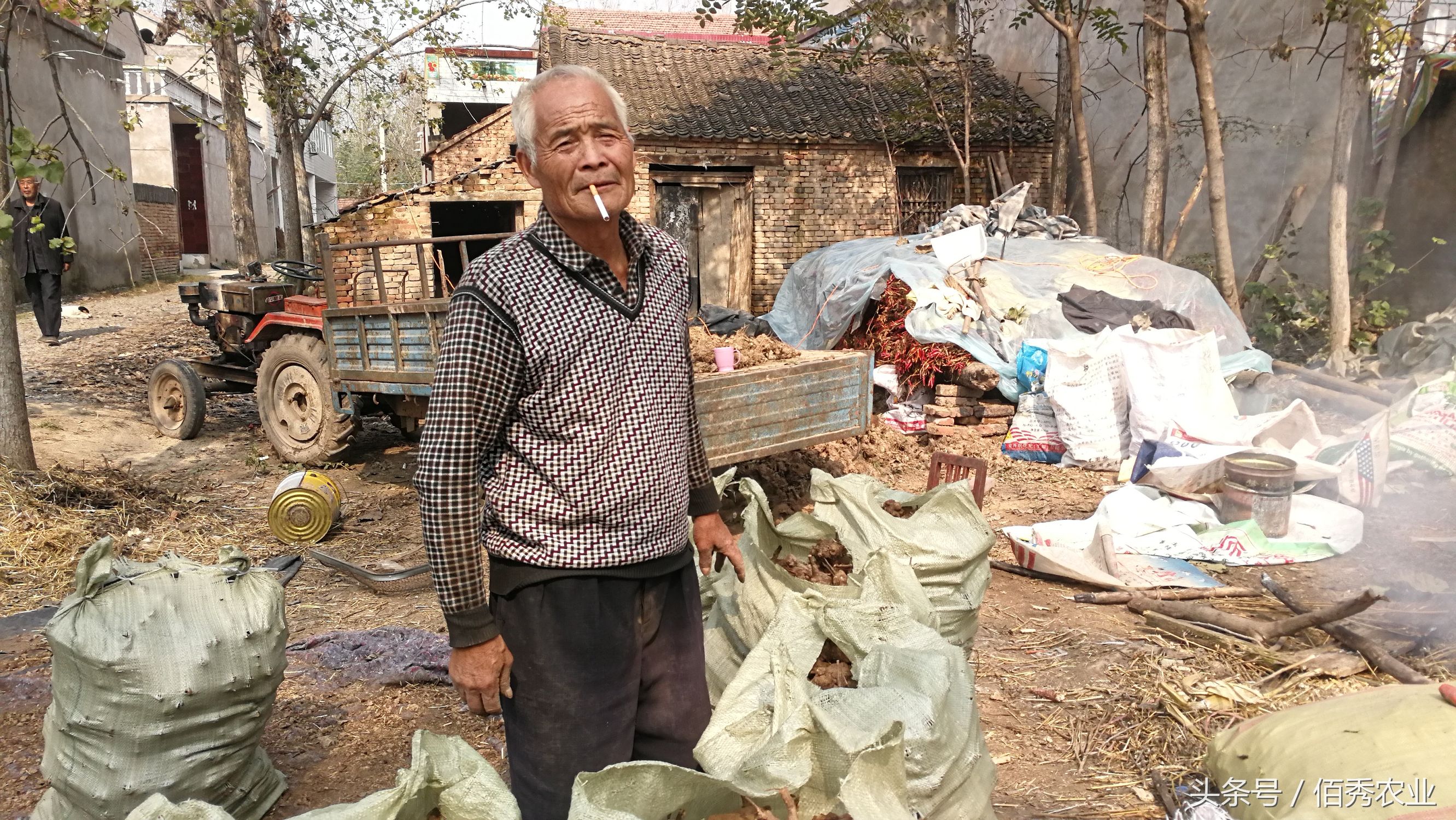 农村创业种植什么药材赚钱,一亩地能挣五万块的药材