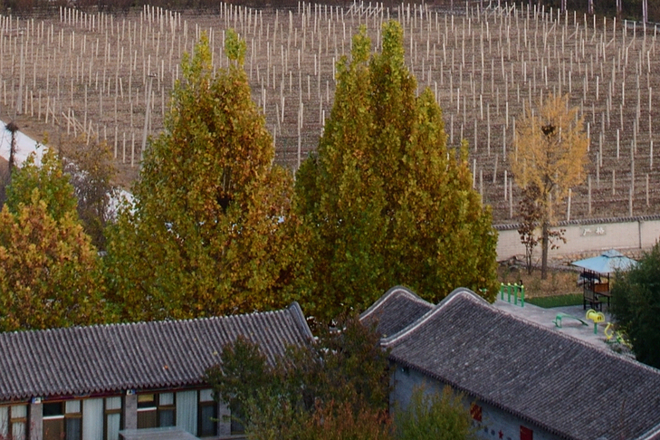 尼康d850选择首次曝光,尼康d850可以碾压同价格的微单吗