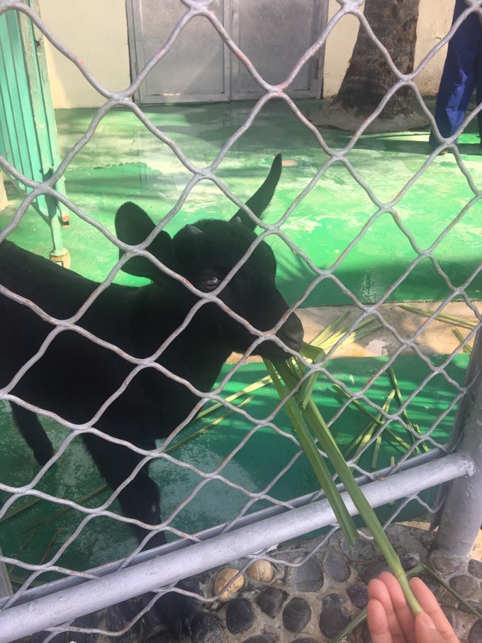 带孩子出发三亚一日游,海南三亚旅游攻略自由行最佳线路