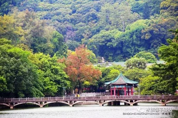 巽寮湾最美的海景,巽寮湾美丽的大海