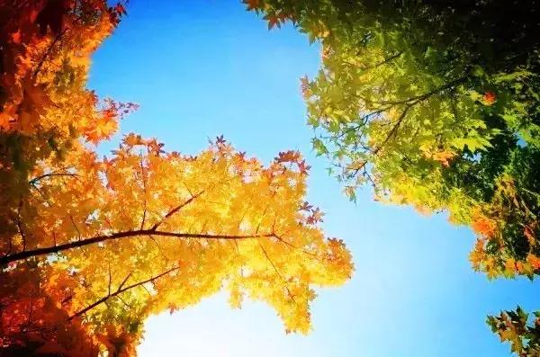 青岛最美11号线风景,青岛最美地铁和最浪漫的地铁