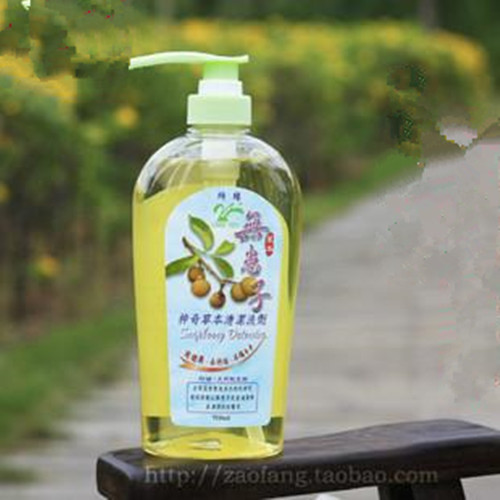 你认识无患子吗？你知道无患子有什么秘密吗？