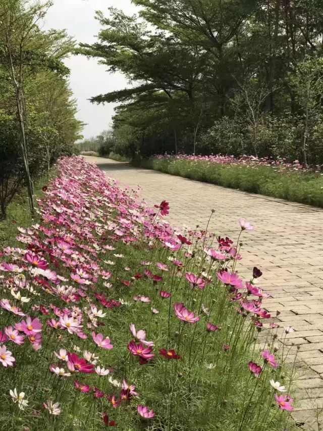 双十一光棍节活动主题,双十一光棍节图集