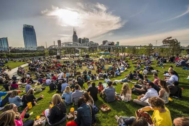 好的景观草坪,天然草坪推荐