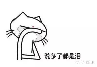 2019年海淘新政后被税概率,海淘关税新规2017