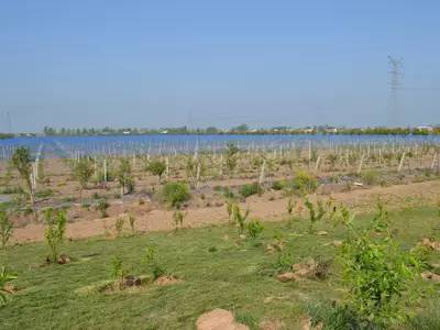 春天适合去哪踏青盐城,盐城春暖花开一日游攻略