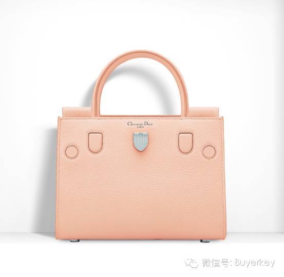 Dior 2016新款包包一个比一个美，都可以买到了！