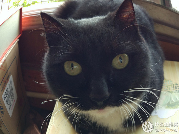 小米5测评视频,小米5使用体验感受如何