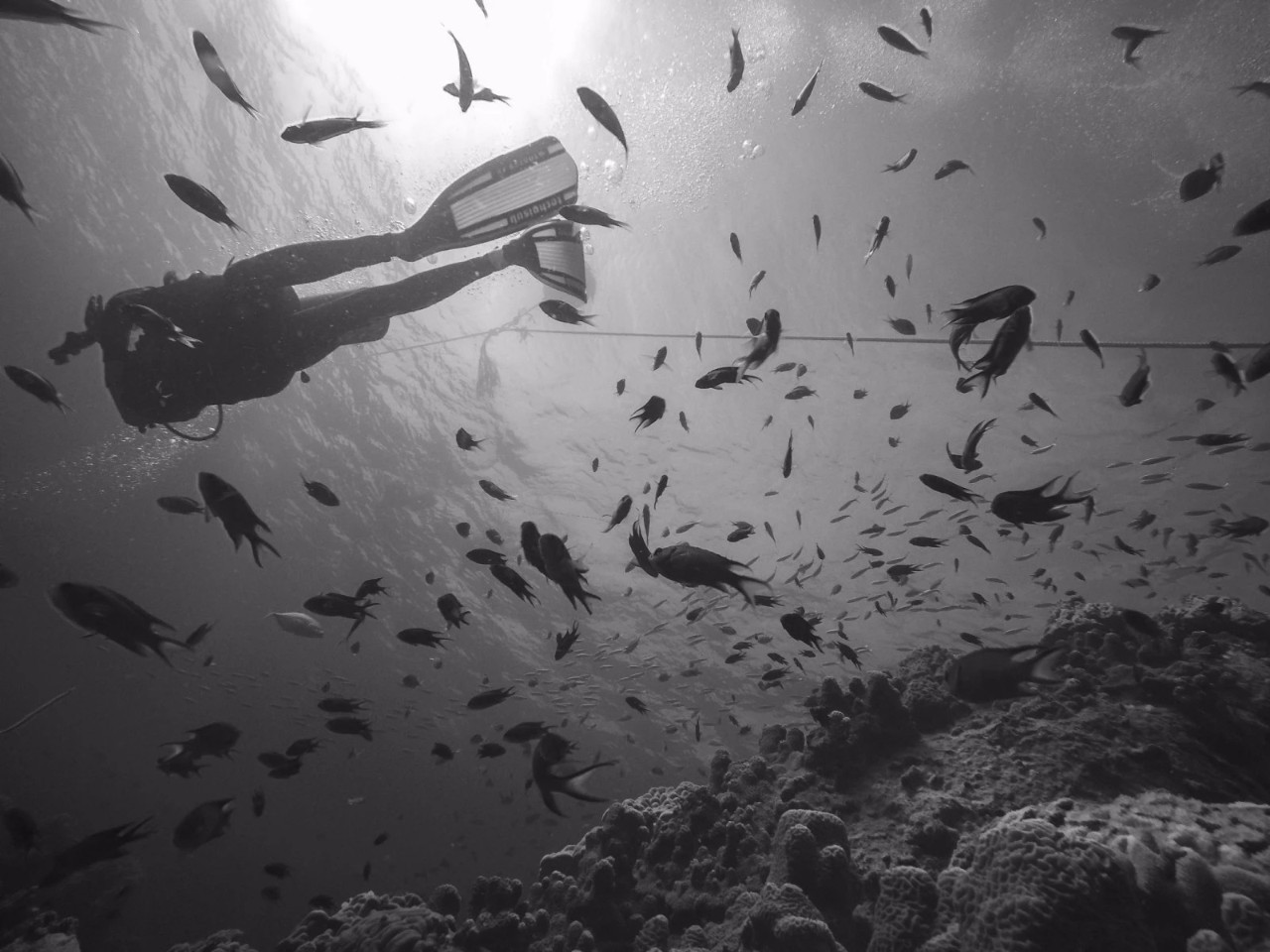 潜水零基础入门教程 (10个简单又可能被忽略的潜水技巧)