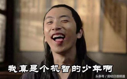 日本对双十一的报道 (日本怎么度过双十一)