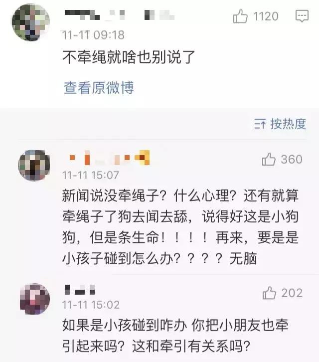 狗狗误食整个火腿肠怎么办,狗狗吃毒香肠怎么办