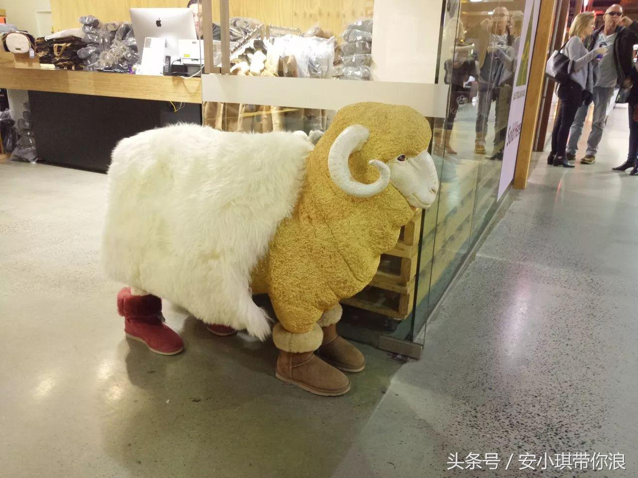 墨尔本四天三晚怎样玩,慢游全世界墨尔本