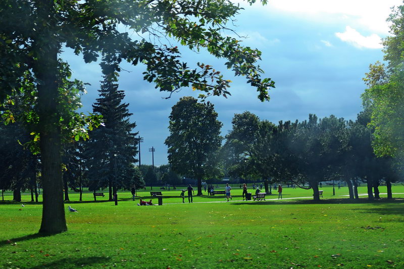 加拿大蒙特利尔在哪个省,加拿大蒙特利尔移民