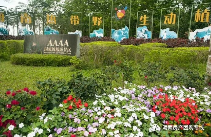 海口是一座美丽的城市,海口比较繁华的地段