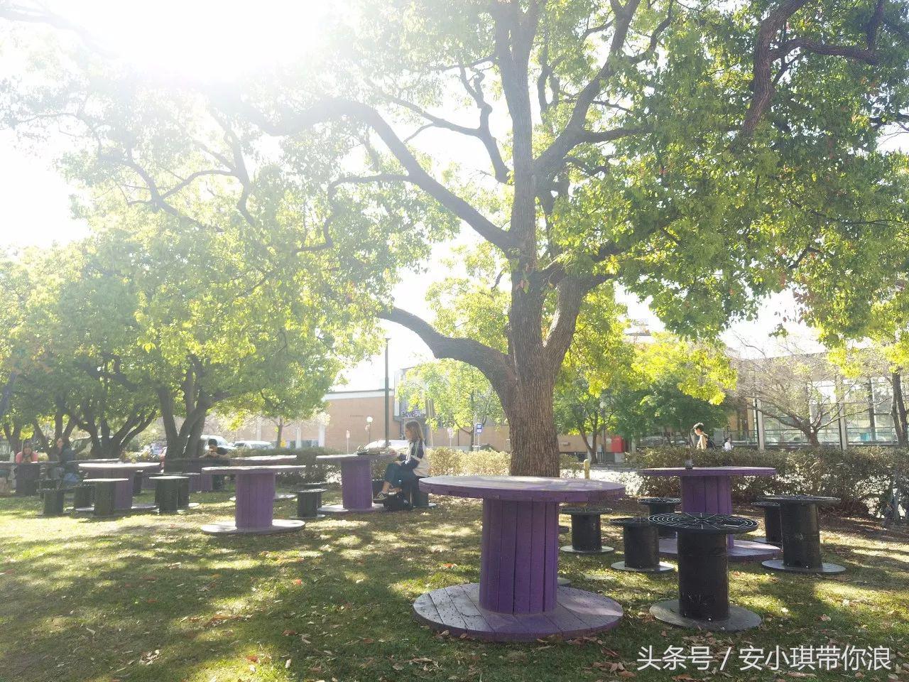 墨尔本四天三晚怎样玩,慢游全世界墨尔本