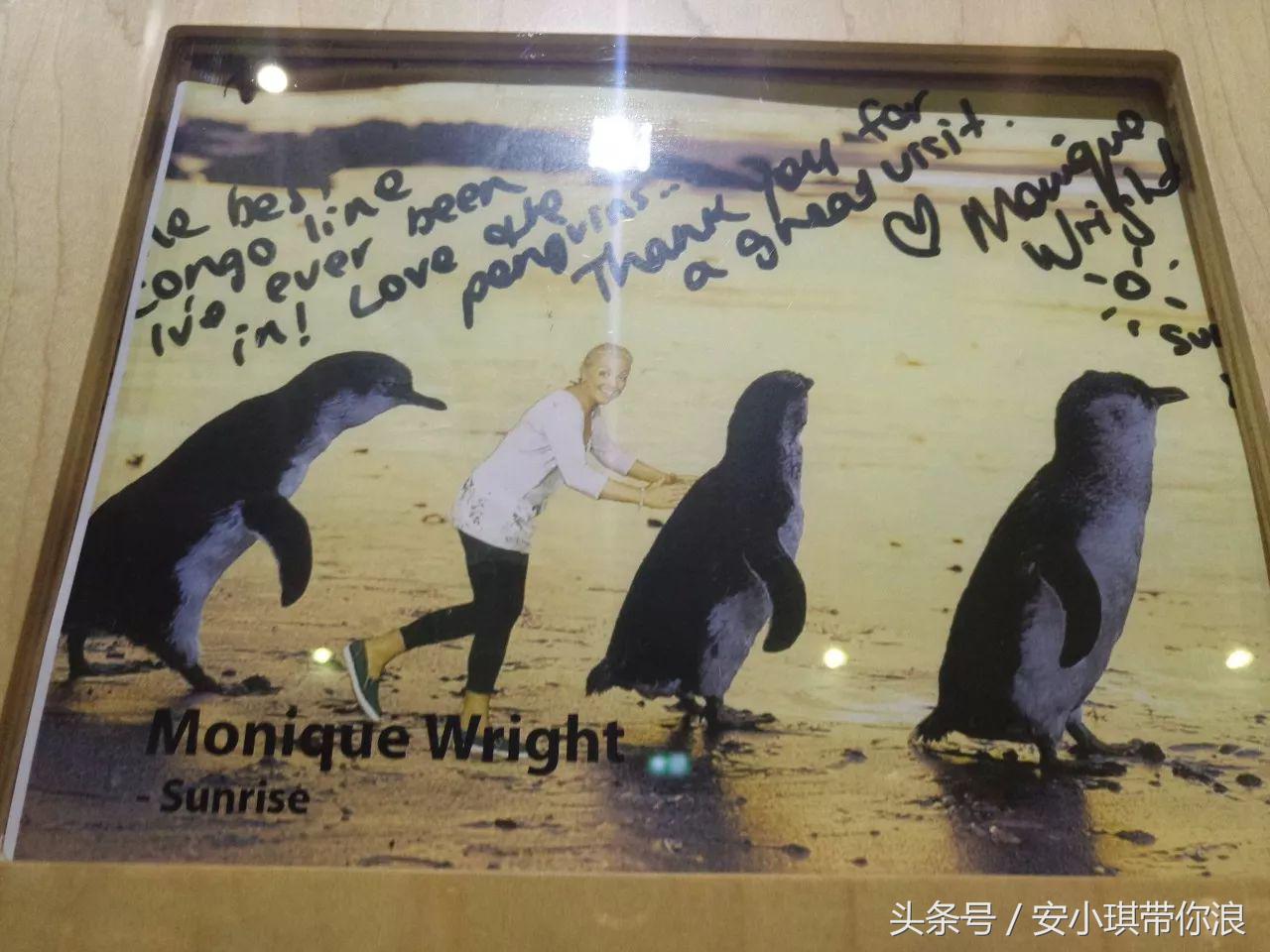 墨尔本四天三晚怎样玩,慢游全世界墨尔本