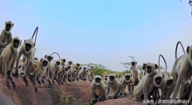 这34个间谍，每天只干一件事：*窥偷**！还拍成电影全球上映？