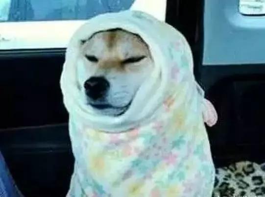 滁州将迎来寒潮天气,滁州雨雪低温天气再次来袭