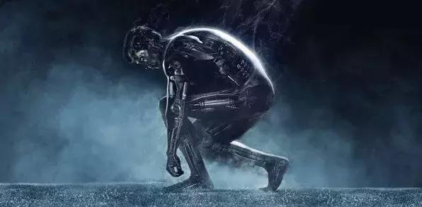 合格的健身教练应该具备哪些条件,健身爱好者和新手的标准