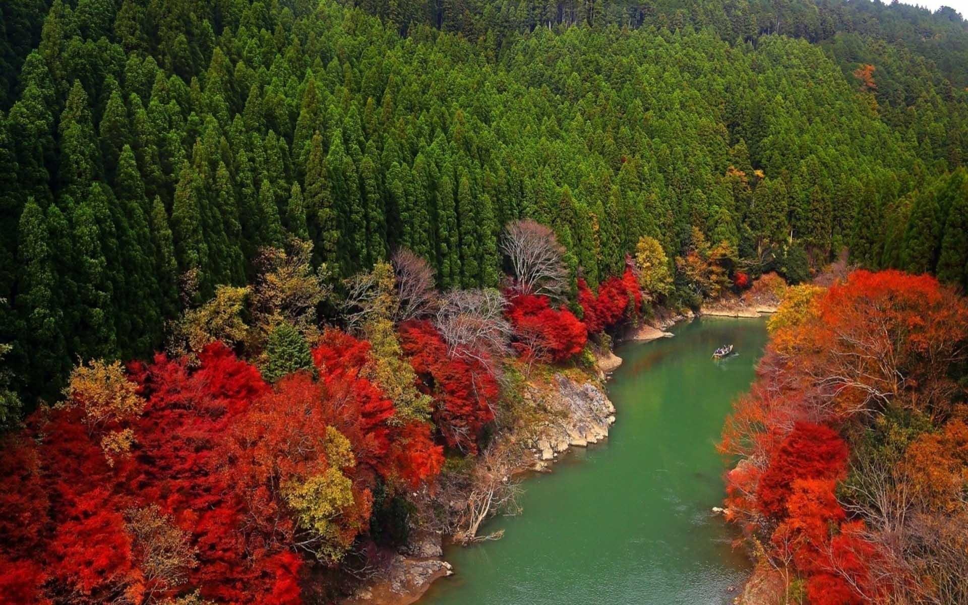 人这辈子唯独人品最值钱,请记住人品是最好的财富