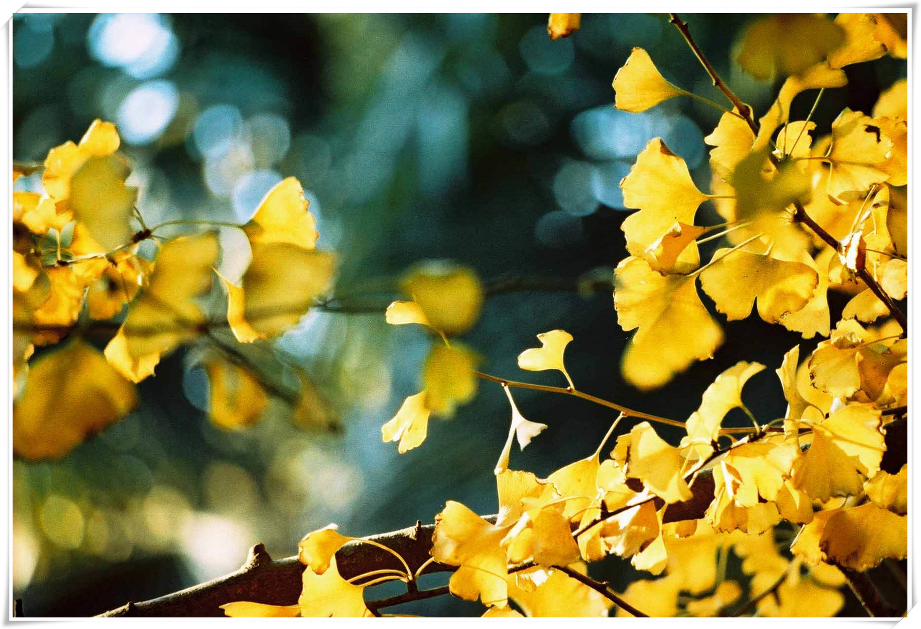 科普天空为什么是蓝色,关于天空的科普短视频