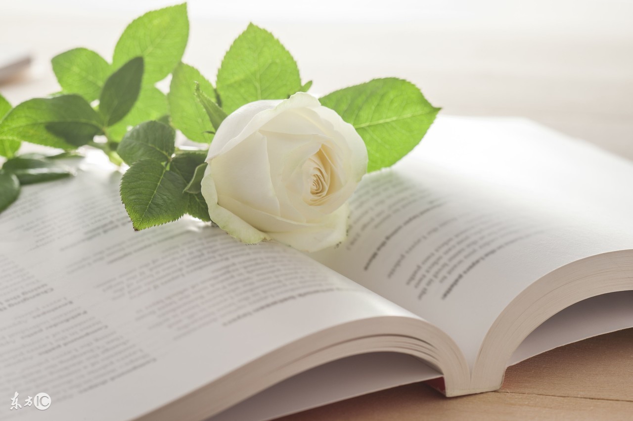 有哪些容易忽视的生活小常识,容易被忽视的健身小常识