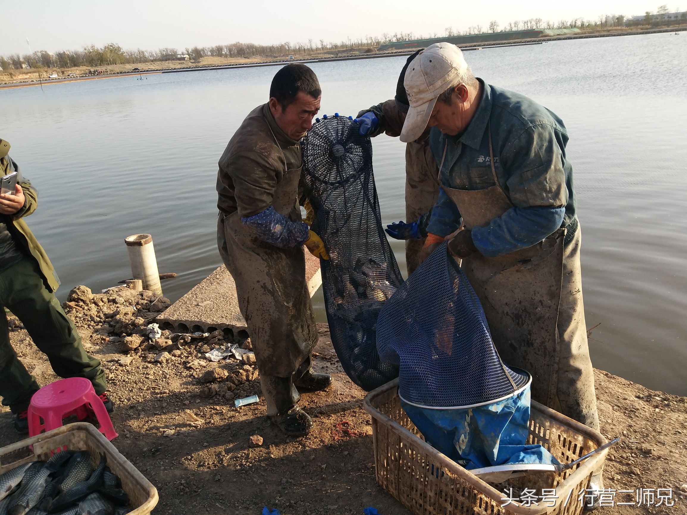 再战华北第一坑连竿到手软，数钱数到手抽筋