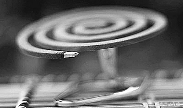 介壳虫黄叶怎么办,绿植介壳虫